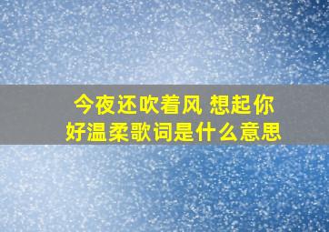 今夜还吹着风 想起你好温柔歌词是什么意思